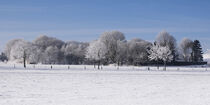 Winterwunderland von Rolf Müller