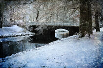 Winter by the Canal