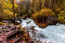 Herbst im Zauberwald by Dirk Rüter