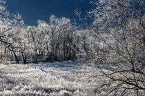 Morning Frost At Cades Cove by Phil Perkins