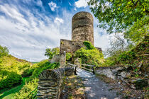 Burg Stahlberg 29 - 221 von Erhard Hess