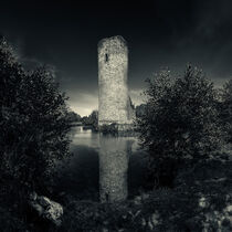 Wasserburg Baldenau (5) monochrom von Erhard Hess