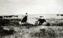 Cowboy on horseback lassooing a calf  by L.A. Huffman