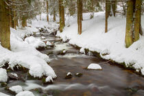 Bach im Winter by Dirk Rüter