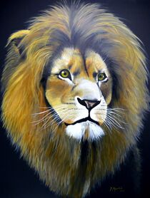 Löwenporträt