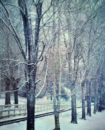 Snowfall in the Blue Ridge Mountains von William Schmid