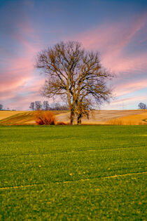 DE - Baden-Württemberg : Image swabia by Michael Naegele