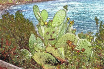 Kaktusfreunde von Gabi Kaula