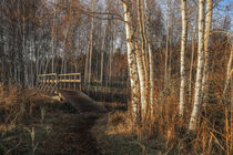 Holzbrücke im NSG Pfrunger-Burgweiler-Ried by Christine Horn