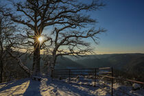 Blick in das Donautal von Burg Wildenstein - Naturpark Obere Donau by Christine Horn