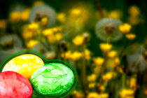 Concept Easter : Easter mood von Michael Naegele