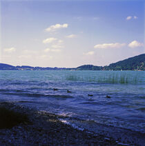 TEGERNSEE. Enten schwimmen auf dem See_3. von li-lu