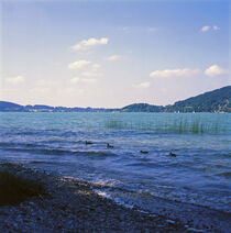 „TEGERNSEE. Enten schwimmen auf dem See_3b.“ by li-lu