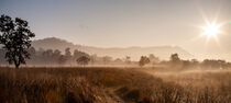 Corbett national park landscape. by Valentijn van der Hammen