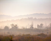 Corbett national park lanscape von Valentijn van der Hammen