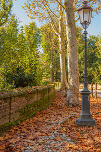 an autumn avenue  von susanna mattioda