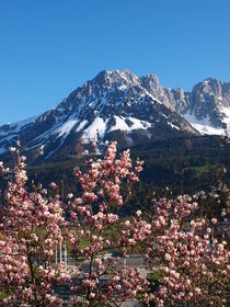 Frühling in den Bergen by mytown