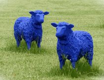 Blaue Schafe by maja-310