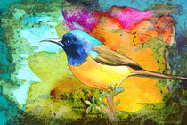 Beautiful Bird Madness von Miki de Goodaboom