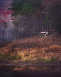 Low Water Level von William Schmid