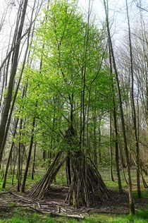 Baum mit Unterstand by Eric Fischer