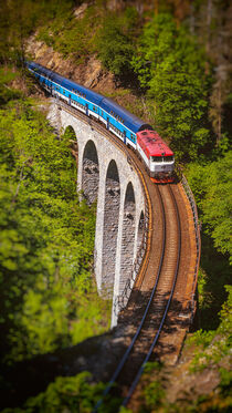 Train on Zampach viaduct, Czech Republic by Tomas Gregor