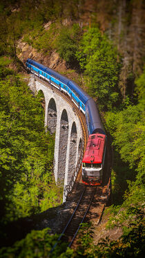 Train on Zampach viaduct, Czech Republic by Tomas Gregor