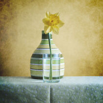 Striped Green Vase and Narcussus * Gestreifte grüne Vase und Narzisse 1(9) by Nikolay Panov