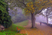 Herbstmorgen Freiburg Schlossberg by Patrick Lohmüller