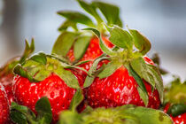 Fruit : Fresh strawberries von Michael Naegele