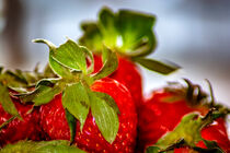 Fruit : Fresh strawberries by Michael Naegele