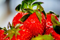 Fruit : Fresh strawberries by Michael Naegele