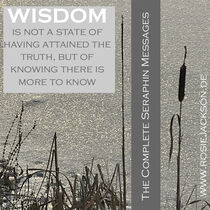 WISDOM IS KNOWING THERE IS MORE TO KNOW by Rosie Jackson