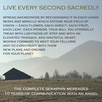 LIVE EVERY SECOND SACREDLY von Rosie Jackson