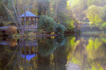 Waldsee Freiburg  von Patrick Lohmüller