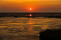 Sonnenuntergang im Watt -  Sunset in the mudflats von Markus Hartung