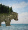 Bear-coast-art