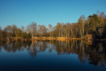 Uferlandschaft Moorteich mit Hütte im Pfrunger-Burgweiler Ried in Ostrach - Wilhelmsdorf by Christine Horn