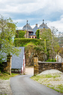 Schloss Gemünden 46 von Erhard Hess