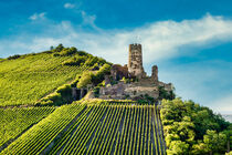 Burgruine Fürstenberg 3 von Erhard Hess