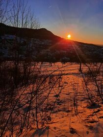 snowsunset by Linda black