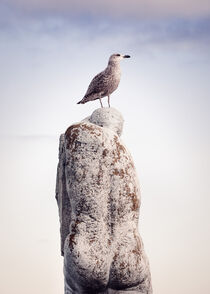 Möwe auf Statur vor Wolken an der Nordsee von Holger Brandt