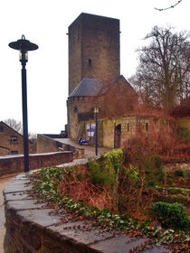 Burg Blankenstein by Edgar Schermaul