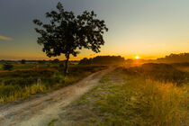 Sonnenuntergang in den Boberger Dünen von image-eye-photography