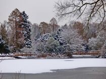 Winterteich von Edgar Schermaul