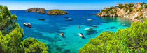 Idyllic bay with boats on Mallorca island, Spain, Mediterrenan Sea by Alex Winter