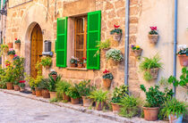 Beautiful plant street in the old village Valldemossa, Majorca Spain by Alex Winter