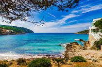 Coastline of Sant Elm with idyllic sea view, Majorca, Balearic islands, Spain von Alex Winter