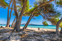 Bay of Alcudia, Can Picafort, Platja de Muro, Mallorca, Spain von Alex Winter