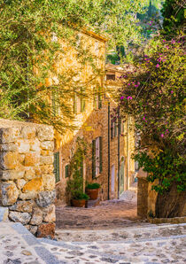 Path in old village of Deia on Majorca, Spain Balearic islands von Alex Winter